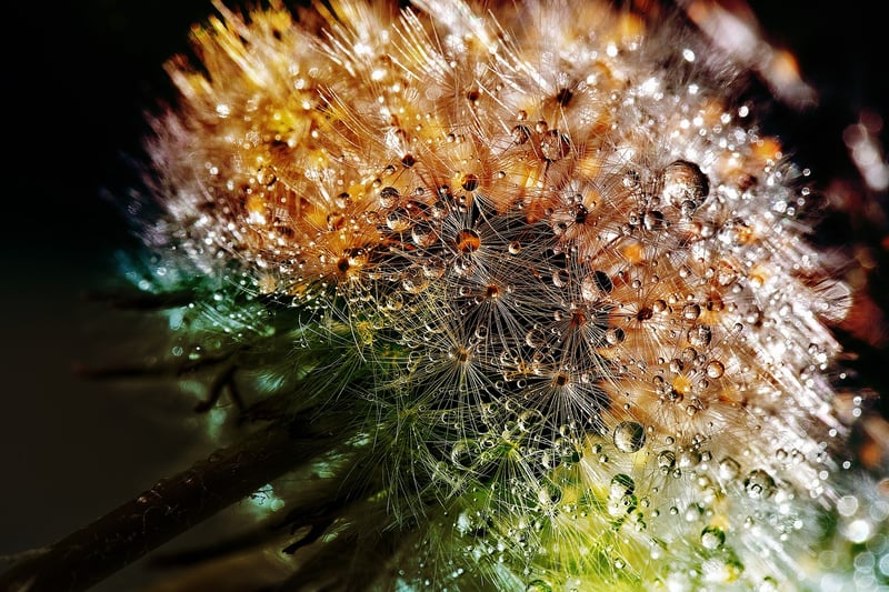 Butterfly Effect